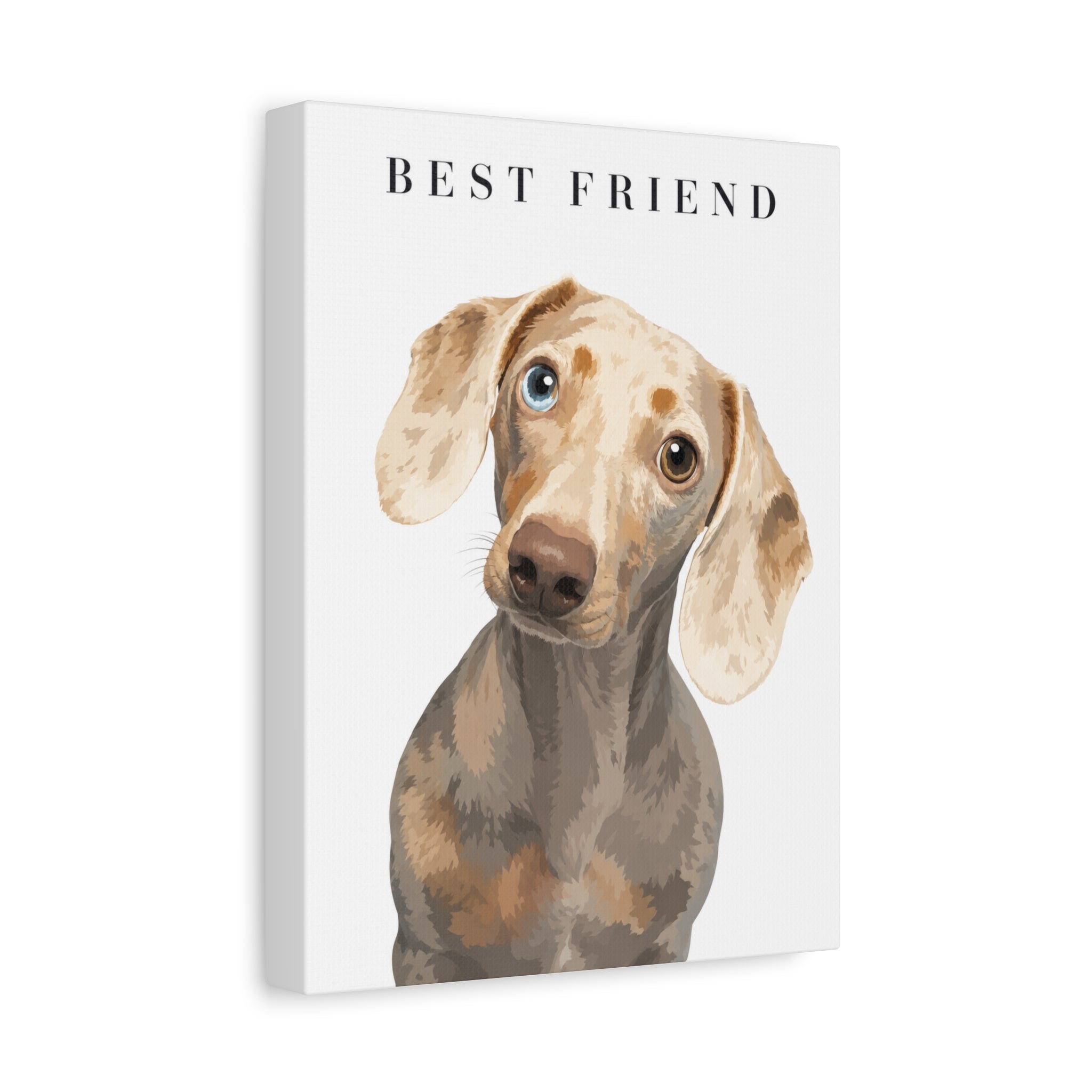 Modern Portrait Personalized Pet Canvas — Custom Dog Portrait Stretched Canvas Wall Art, Made to Order