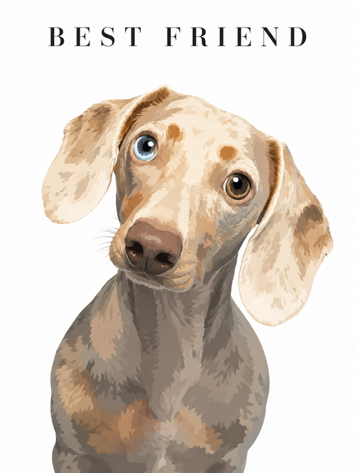 Modern Portrait