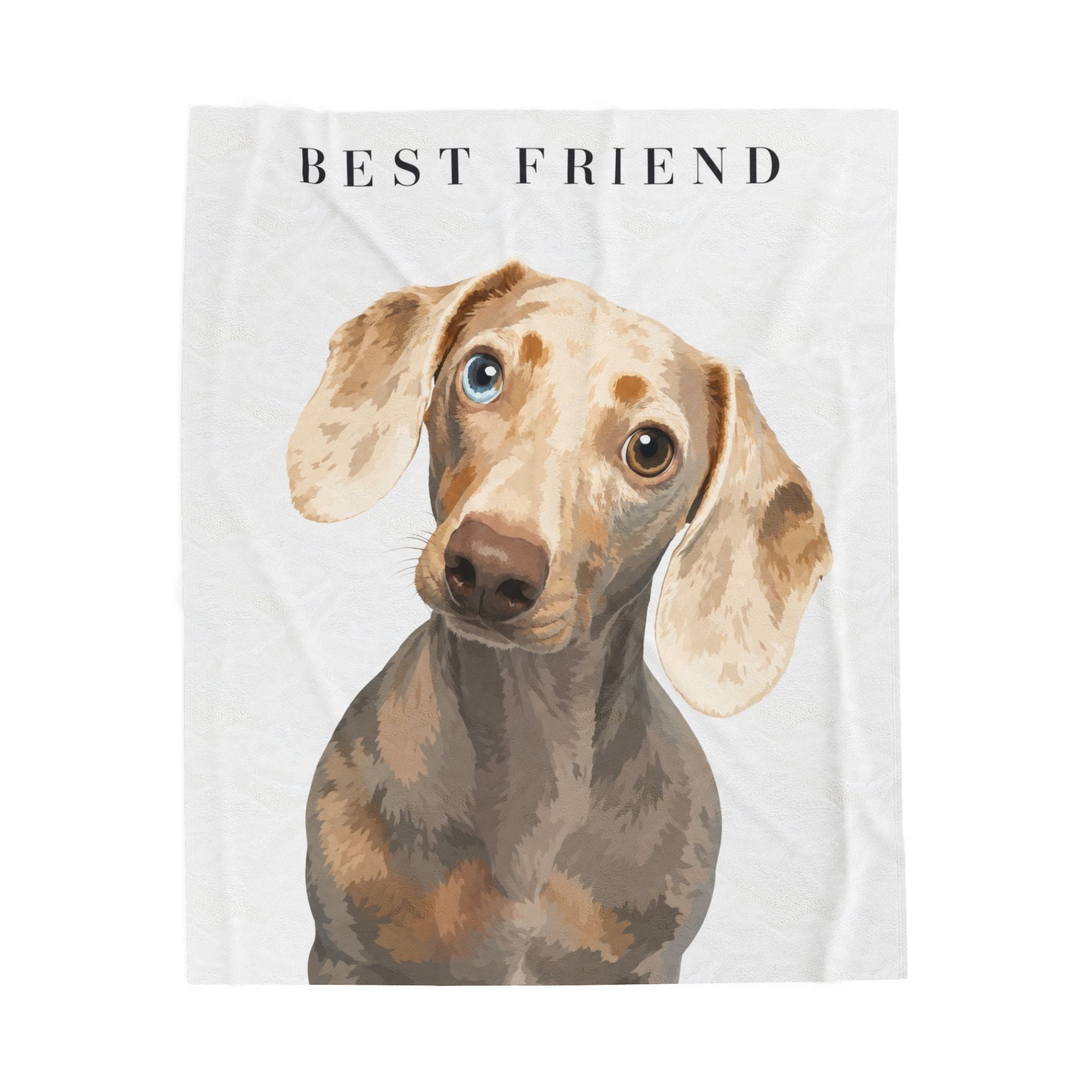 Modern Portrait Personalized Pet Blanket — Minimal Custom Pet Art Velveteen Plush Throw, 3 Sizes