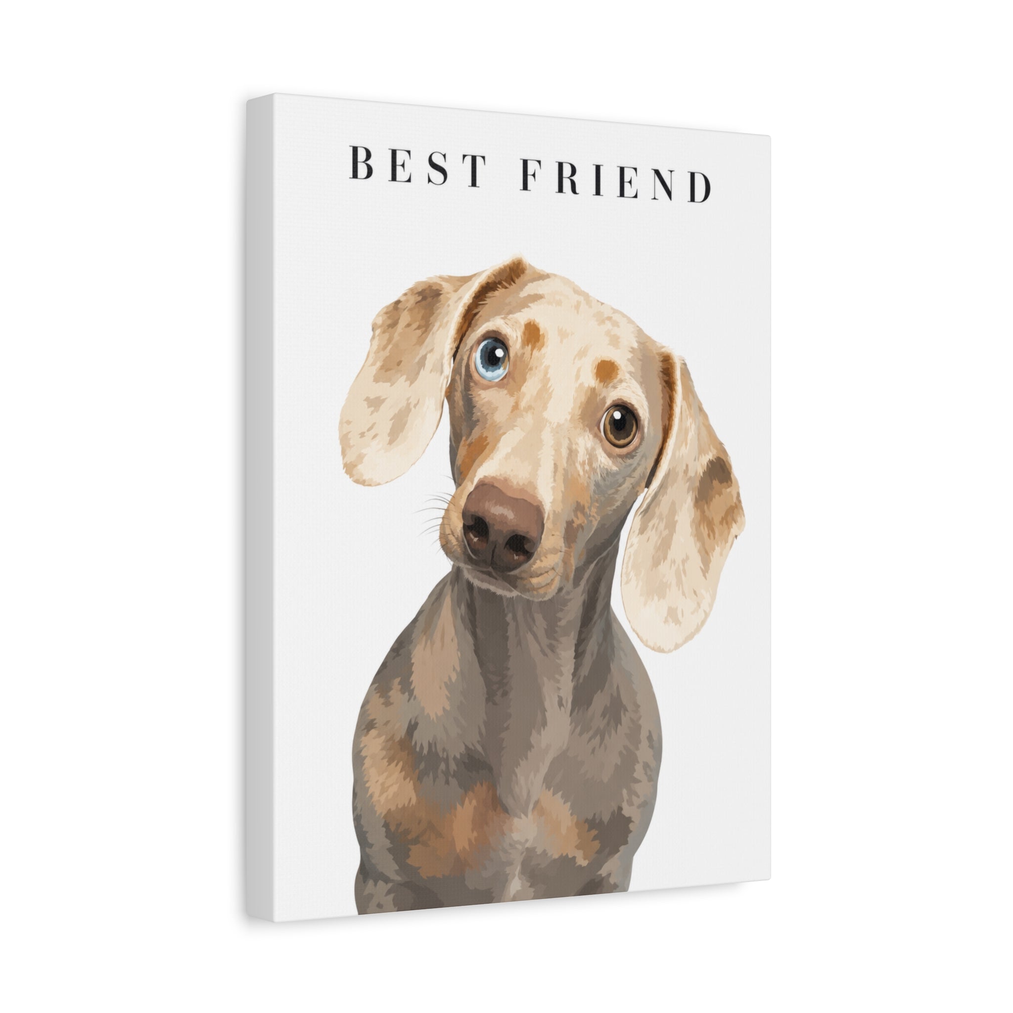 Modern Portrait Personalized Pet Canvas — Custom Dog Portrait Stretched Canvas Wall Art, Made to Order