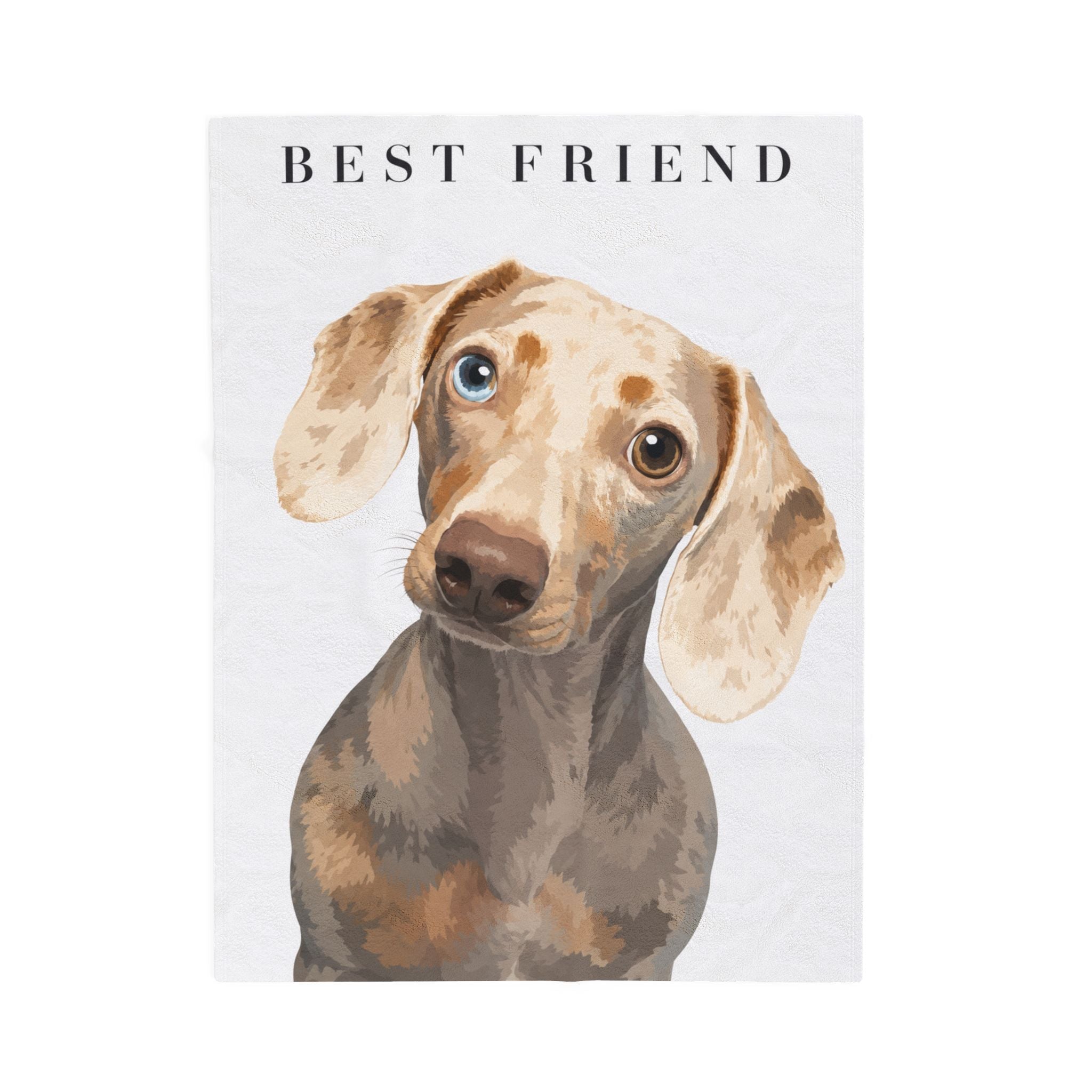 Modern Portrait Personalized Pet Blanket — Minimal Custom Pet Art Velveteen Plush Throw, 3 Sizes